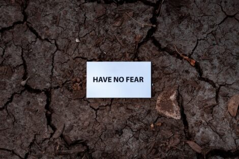 have no fear image